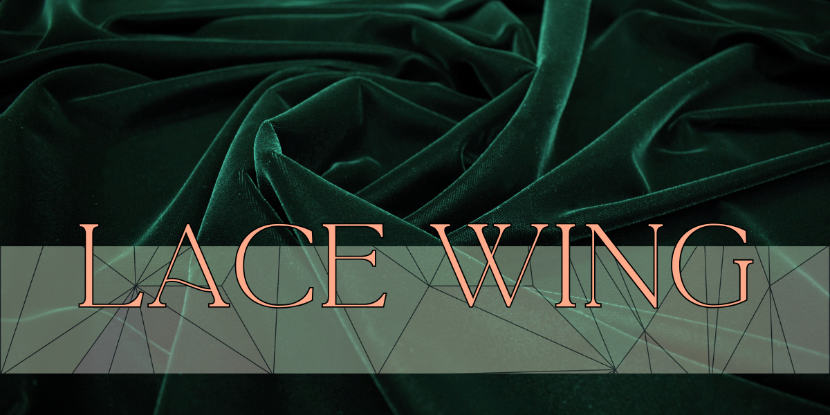 Lace Wing